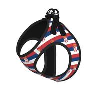 Ensemble harnais et laisse pour chien et chat avec motif drapeau de la Serbie, harnais réfléchissant réglable pour petits chiens et chats