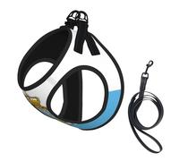 Ensemble harnais et laisse pour chien et chat avec motif drapeau de Saint-Marin, harnais réfléchissant réglable pour petits chiens et chats