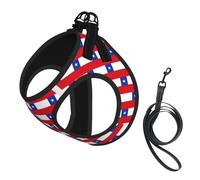 Ensemble harnais et laisse pour chien et chat avec motif drapeau du Chili