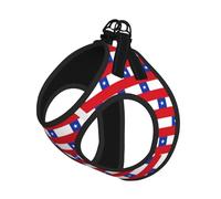 Ensemble harnais et laisse pour chien et chat avec motif drapeau du Chili