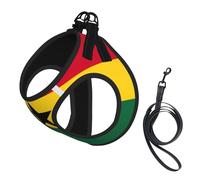 Ensemble harnais et laisse pour chien et chat avec motif drapeau du Ghana, harnais réfléchissant réglable pour petits chiens et chats