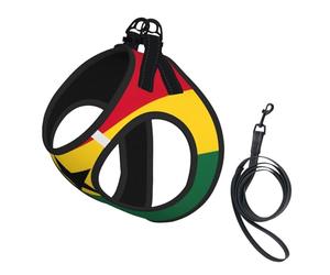 Ensemble harnais et laisse pour chien et chat avec motif drapeau du Ghana, harnais réfléchissant réglable pour petits chiens et chats