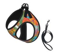 Ensemble harnais et laisse pour chien et chat - Couleur vive - Réfléchissant - Réglable