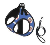 Ensemble harnais et laisse pour chien et chat de petite, moyenne et grande taille avec imprimé drapeau du Minnesota