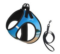 Ensemble harnais et laisse pour chien et chat de petite, moyenne et grande taille, motif vague de ciel clair, motif plage