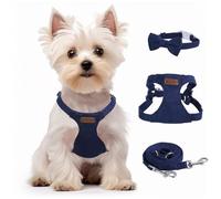 Ensemble harnais et laisse pour chien et chat - Harnais réglable anti-traction avec collier multifonction bleu denim - Harnais doux, anti-étranglement et anti-fugue pour petits chiens et chats (bleu