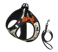 Ensemble harnais et laisse pour chien et chat, réfléchissant, réglable, anti-fuite, avec maille douce et respirante, pour petits animaux de compagnie et chatons chiots