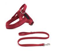 Ensemble Harnais et Laisse pour Chien, Gilet en Maille Souple, réfléchissant, Respirant, Anti-étouffement, Facile à Marcher, Anti-évasion, avec Boucle de sécurité pour Chiens de Petite et Moyenne