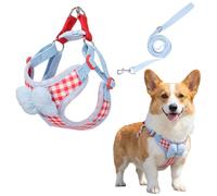 Ensemble Harnais et Laisse pour Chien,Gilet Souple,Respirant et Ajustable avec Boucle Anti-Fugue pour Chiots et Petits Chiens en Formation Aux Promenades en Extérieur