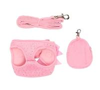Ensemble Harnais et Laisse pour Chien, Harnais pour Petit Chien pour la Marche, la Course, Le Dressage, Harnais pour Chien sans Traction, Gilet pour Animaux de Compagnie,