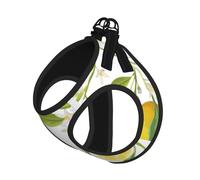 Ensemble harnais et laisse pour chien imprimé citrons tropicaux, respirant, réglable, anti-fugue pour chats et chiens