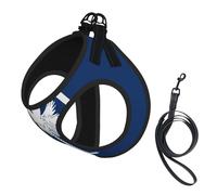Ensemble harnais et laisse pour chien imprimé drapeau de la Caroline du Sud, gilet réfléchissant et réglable pour chiens de petite, moyenne et grande taille