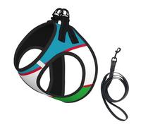 Ensemble harnais et laisse pour chien imprimé drapeau de la République d'Ouzbékistan, gilet réfléchissant réglable pour chiots et chats de petite, moyenne et grande taille
