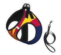 Ensemble harnais et laisse pour chien imprimé drapeau de l'Arizona, gilet respirant et réglable anti-fugue pour chats et chiens