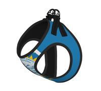 Ensemble harnais et laisse pour chien imprimé drapeau du Dakota du Sud, gilet respirant et réglable anti-fugue pour chats et chiens