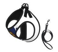 Ensemble harnais et laisse pour chien imprimé drapeau du Massachusetts, gilet respirant et réglable anti-fugue pour chiens, chats