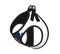 Ensemble harnais et laisse pour chien imprimé drapeau du Massachusetts, gilet respirant et réglable anti-fugue pour chiens, chats