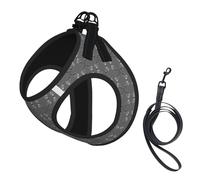 Ensemble harnais et laisse pour chien imprimé plumes dansantes, harnais réfléchissant réglable pour petits chiens et chats
