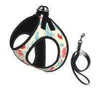 Ensemble harnais et laisse pour chien Magicien imprimé lapin, réglable, respirant, doux, en maille avec bande réfléchissante