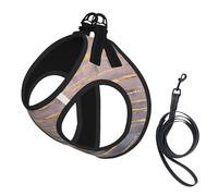 Ensemble Harnais et Laisse pour Chien Moderne en marbre doré avec Pierres précieuses, Gilet réfléchissant réglable pour Petits Chiens, Harnais en Maille Respirante pour Chiots, pour la Marche et la