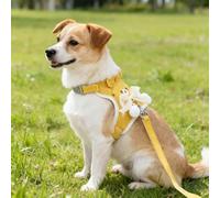 Ensemble harnais et laisse pour chien, motif dessin animé, maille respirante, gilet réglable avec nœud (jaune, S)