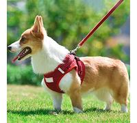 Ensemble harnais et laisse pour chien - Réglable - Réfléchissant - Maille douce - Velours côtelé - Pour chiots, yorkshire, chihuahua, chats (B, XS)