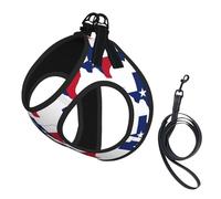 Ensemble harnais et laisse pour chiot avec imprimé carte du drapeau du Texas, maille douce, réfléchissante, respirante et légère