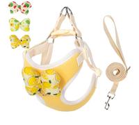 Ensemble harnais et laisse pour chiot avec nœuds amovibles, harnais réglable et léger pour vétérinaire, idéal pour la marche, la course à pied, le dressage pour chiot, chien de petite et moyenne
