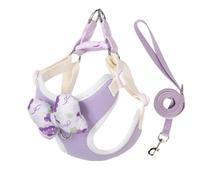 Ensemble harnais et laisse pour chiot avec nœuds amovibles, harnais réglable et léger pour vétérinaire, idéal pour la marche, la course à pied, le dressage pour chiot, chien de petite et moyenne