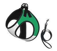 Ensemble harnais et laisse pour chiot imprimé drapeau de la Côte d'Ivoire en maille souple réfléchissante respirante légère