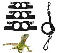 Ensemble Harnais et Laisse pour Dragon Barbu,Gilet Réglable de 2m pour Reptile,Lézard,Petit Animal,Entraînement,Marche en Extérieur