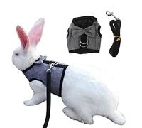 Ensemble Harnais et Laisse pour Lapin avec Nœud Papillon Mignon et Cloche - Réglable pour Petits Animaux, Chaton