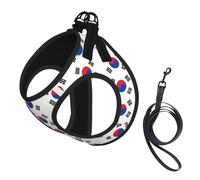 Ensemble harnais et laisse pour petit chien, gilet souple réglable avec sangles réfléchissantes à 360° pour chat et chiot Motif drapeau de la République de Corée