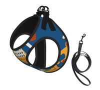 Ensemble harnais et laisse pour petit chien, gilet souple réglable avec sangles réfléchissantes à 360° pour chat et chiot Motif carte de l'Italie