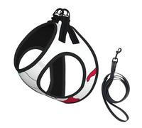Ensemble harnais et laisse pour petit chien, gilet souple réglable avec sangles réfléchissantes à 360° pour chats et chiots Motif carte de l'Italie