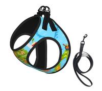 Ensemble harnais et laisse pour petit chien, gilet souple réglable avec sangles réfléchissantes à 360° pour chat et chiot Motif carte d'Italie