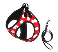 Ensemble harnais et laisse pour petit chien, gilet souple réglable avec sangles réfléchissantes à 360° pour chats et chiots