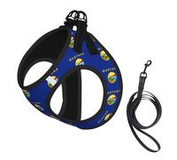 Ensemble harnais et laisse pour petit chien, gilet souple réglable avec sangles réfléchissantes à 360° pour chats et chiots