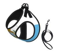 Ensemble harnais et laisse pour petit chien, gilet souple réglable avec sangles réfléchissantes à 360° pour chat et chiot Motif drapeau de Saint-Marin