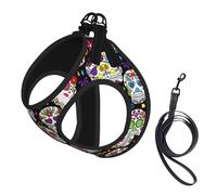 Ensemble harnais et laisse pour petit chien, motif tête de mort, gilet souple réglable avec sangles réfléchissantes à 360° pour chats et chiots