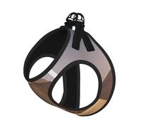 Ensemble Harnais et Laisse Pyramides d'Égypte pour Chat et Chien, Gilet réfléchissant pour Petits Animaux de Compagnie, Anti-Fuite