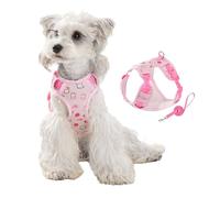 Ensemble harnais et laisse réglable anti-traction pour petit chien, harnais léger anti-traction pour caniche, bichon, schnauzer, Poméranien_M (rose)