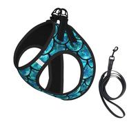 Ensemble harnais et laisse réglable pour chats et chiens, gilet en maille douce et respirante avec design réfléchissant, laisse anti-évasion pour petits animaux de compagnie, promenade et dressage