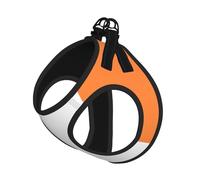 Ensemble harnais et laisse réglable pour chats et chiens, motif drapeau irlandais, gilet en maille avec design réfléchissant, laisse anti-fuite pour petits animaux de compagnie, promenade et dressage