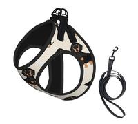 Ensemble harnais et laisse réglable pour chats et chiens, motif teckel, gilet en maille avec design réfléchissant, laisse anti-fuite pour petits animaux de compagnie, promenade et dressage