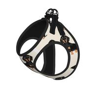 Ensemble harnais et laisse réglable pour chats et chiens, motif teckel, gilet en maille avec design réfléchissant, laisse anti-fuite pour petits animaux de compagnie, promenade et dressage