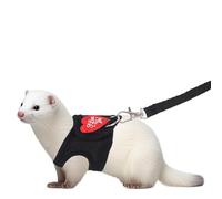 Ensemble harnais et laisse réglables pour petits animaux de compagnie, y compris furets, cochons d'Inde, lapins, hamsters et chatons (noir)
