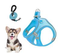 Ensemble harnais et laisses pour chat, , chiot, anti-fuite, réglable | Harnais anti-traction pour chien avec laisses pour randonnée, promenade nocturne, voyage en voiture, dressage, plein air