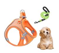 Ensemble harnais et laisses pour chat - Gilet réfléchissant et respirant | Harnais anti-traction pour chien avec laisses pour randonnée, promenade nocturne, voyage en voiture, dressage, plein air