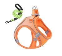 Ensemble harnais et laisses pour chat - Harnais réglable pour chiens de taille moyenne et petite avec laisses - Gilet anti-évasion avec sangles réfléchissantes pour randonnée, camping, voyages